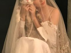 -Bastet sally猫舍购宠(静安店)