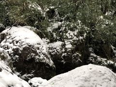 -龙苍沟森林公园