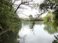 -西溪国家湿地公园