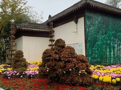-莲湖公园