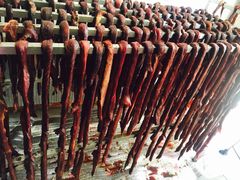 -库伦旗银沙湾旅游景区