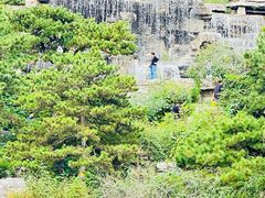 -北京西山国家森林公园