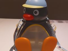 -成都浩海立方海洋公园