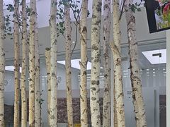 -极简口腔(总院)