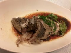 -外高桥喜来登酒店采悦轩