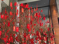 -三亚太阳湾柏悦酒店