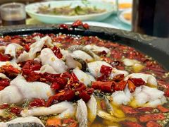 -金三可市井水煮鱼(金碧园店)