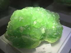 -湖南省地质博物馆