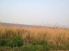 -苏州东太湖生态园