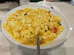 -丁老爷子苏香圆