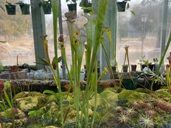 -国家植物园南园