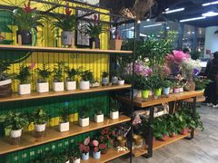 -鲜果壹号(旺墩店)