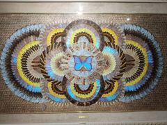 -上海昆虫博物馆