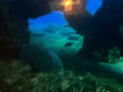 -海棠湾洲际-涛·海底餐厅·美人鱼·自助餐·海底隧道