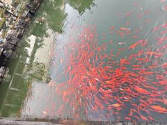 -徽商大宅院