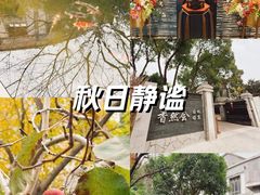 -香然会·园林雅宴(陆家嘴店)
