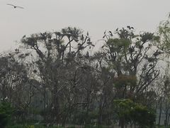-东湖景区