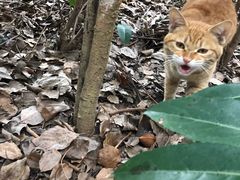 -浙江万里学院(钱湖校区)