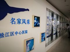-上海市松江区中心医院