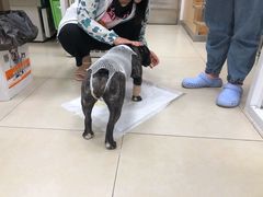 -宠福鑫康馨动物医院·骨科·眼科