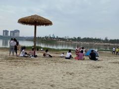 -九龙湖公园