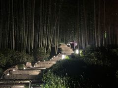 -杭州黄龙洞