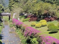 -荔湾区儿童公园