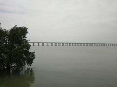 -宝安西湾红树林湿地公园