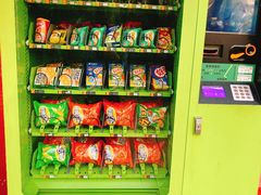 -合肥滨湖国家森林公园