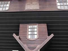 -金山农民画村-枫泾波兰倒置屋