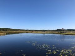 -塞罕坝国家级自然保护区