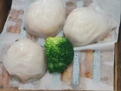 -鹅城