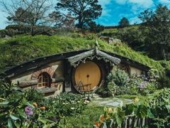 -怀托摩萤火虫洞