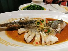 清蒸鲈鱼-眉州东坡(远洋未来广场店)