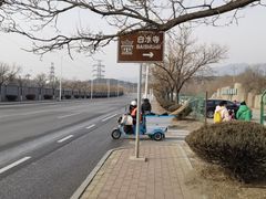 -白水寺森林公园