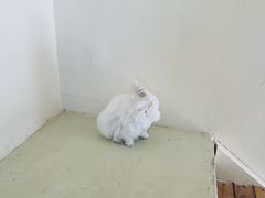 -小意思咖啡店(草桥店)