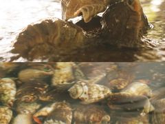 -三亚火车头万人海鲜广场