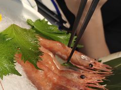 -極上萬膳·日料放题(海岸城店)