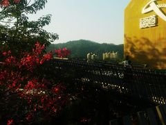 -福道