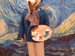 -济州岛泰迪熊博物馆