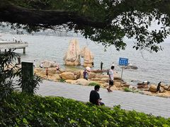-大梅沙海滨公园