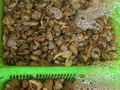 -和源祥·日照菜扛把子(万平口一店)