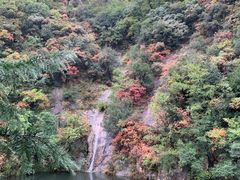 -龙峪湾国家森林公园