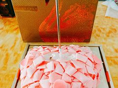 -BLACKSWAN黑天鹅(环球店)