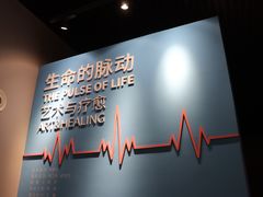 -南京书画院金陵美术馆