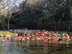-上海野生动物园