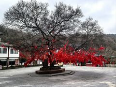 -句容茅山景区