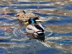 -水磨沟公园