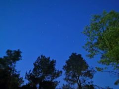 -铁山坪森林公园