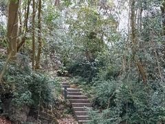 -花溪公园